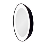LED Lighted 15X Mirror